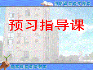 预习指导课.ppt