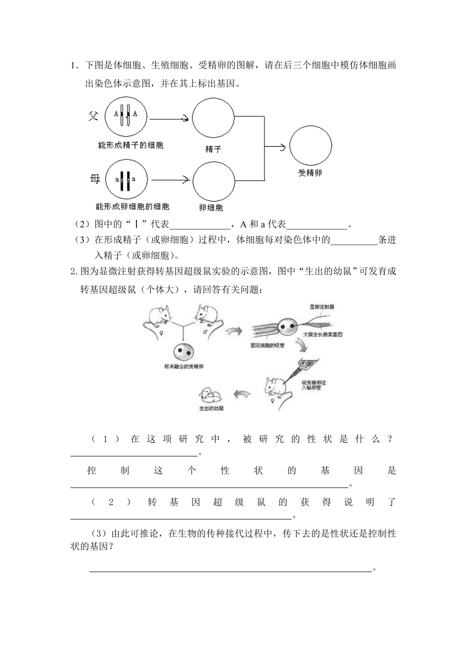 八下生物期中考试.doc_第2页