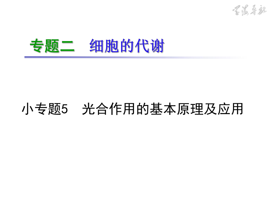 专题2小专题05光合作用的基本原理及应用.ppt_第2页