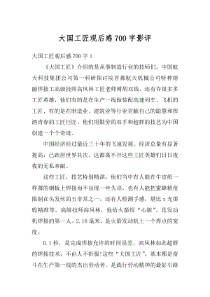 大国工匠观后感700字影评精选.docx