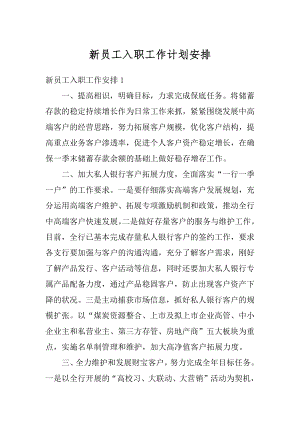 新员工入职工作计划安排精编.docx