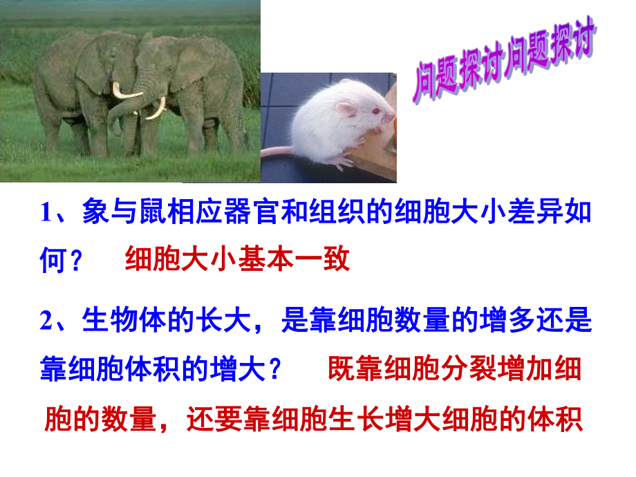 人教版教学课件高中生物必修一细胞增殖.ppt_第2页