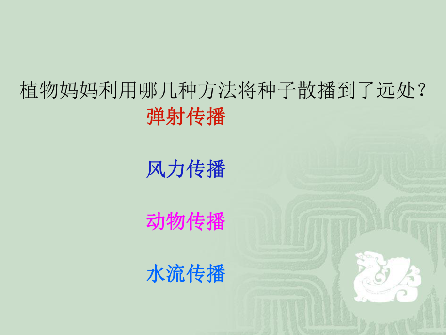 教科版四年级科学下册种子的萌发ppt课件.ppt_第2页