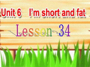 人教新版小学英语四年级上册课件Lesson34.ppt