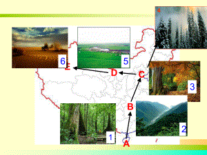 地理环境整体性和差异性.ppt