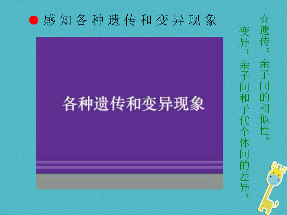 八年级生物下册721基因控制生物的性状课件2新版新人教版20180409382.ppt_第2页