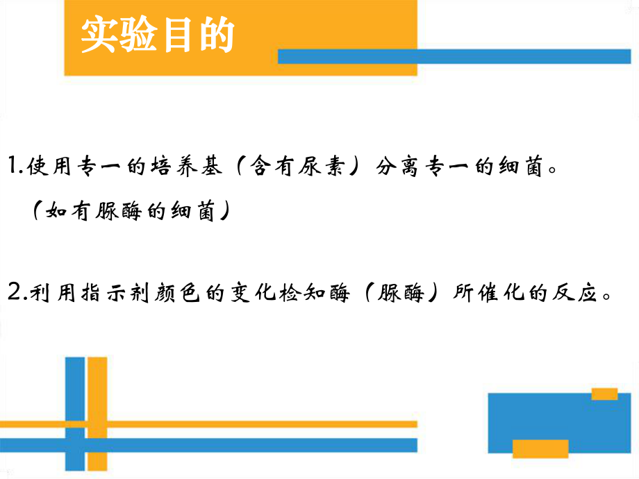 分离以尿素为氮源的微生物.pptx_第2页