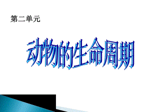 第1课：蚕卵里孵出的新生命.ppt