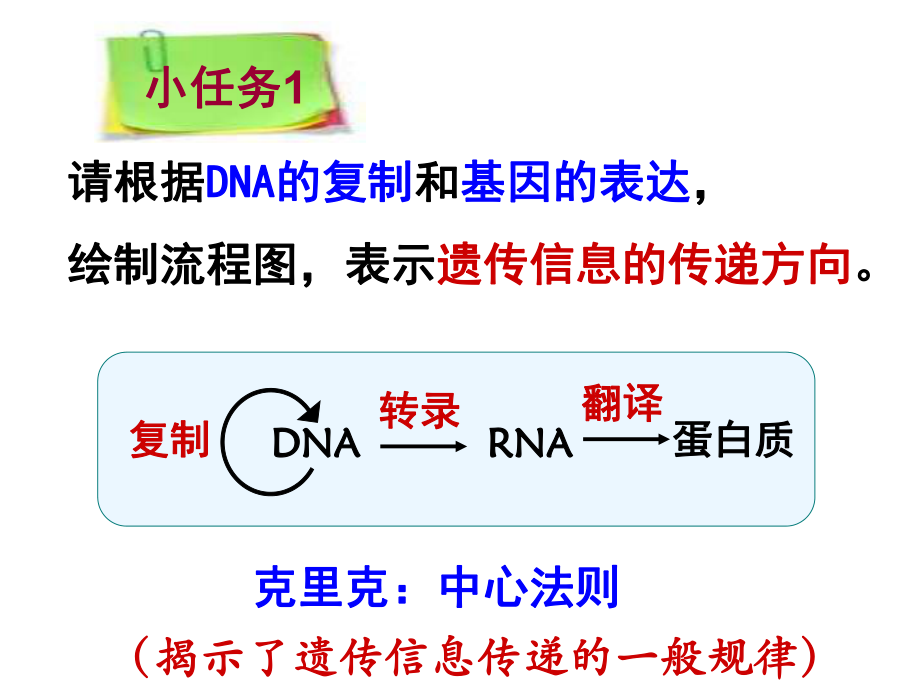 基因对性状的控制-(获奖PPT课件).ppt_第2页