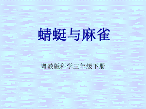 《8蜻蜓与麻雀》课件.ppt