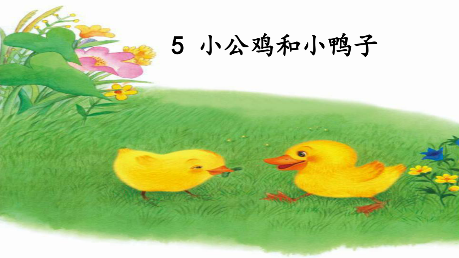 新版语文一年级下册课文《5.小公鸡和小鸭子》ppt课件.pptx_第2页