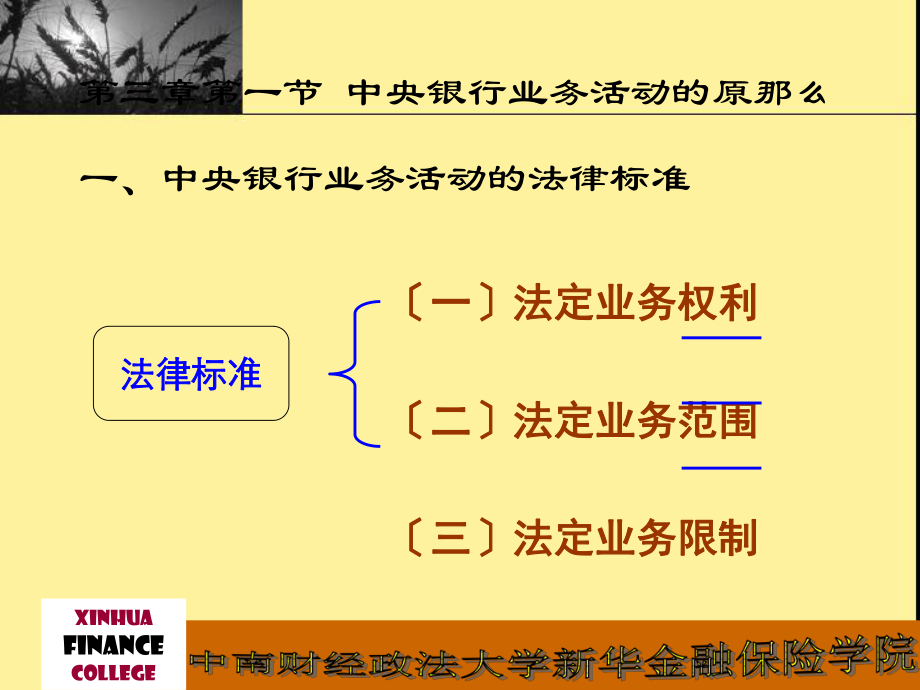 中央银行业务活动法规原则与资产负债表ok.pptx_第2页