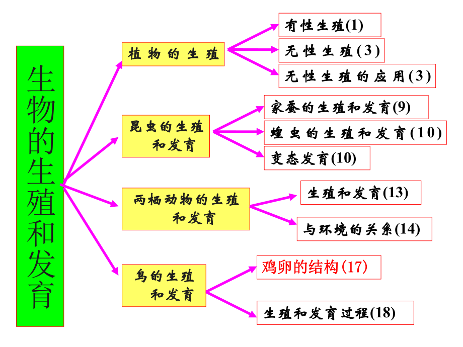 人教版八年级生物下册总复习ppt课件.ppt_第2页