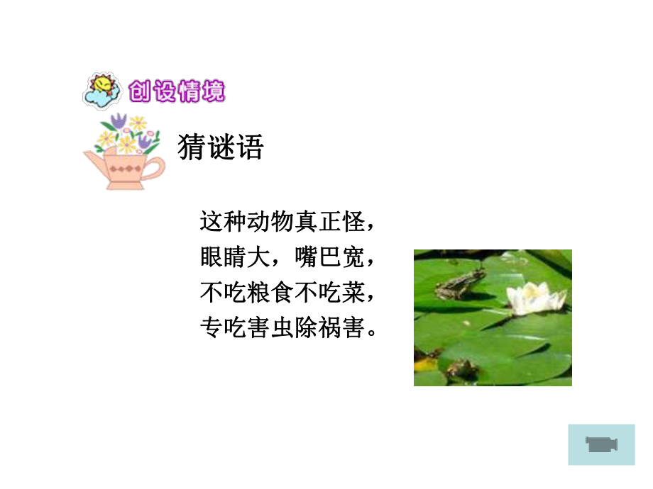 9青蛙看海 (3).ppt_第2页