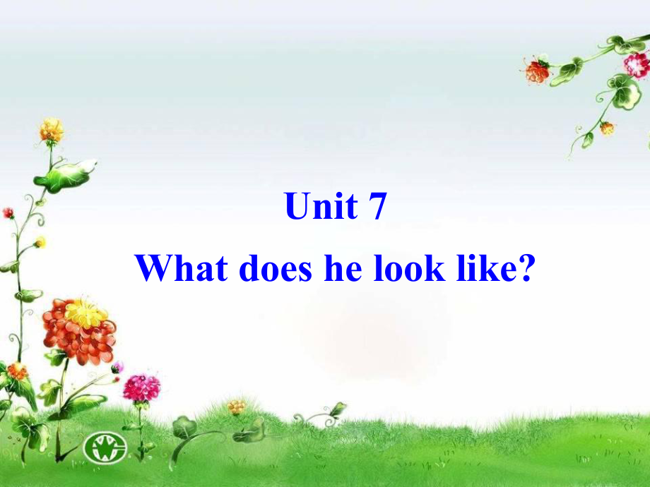 七年级英语下册Unit93Whatdoeshelooklike--SectionA课件1.ppt_第2页