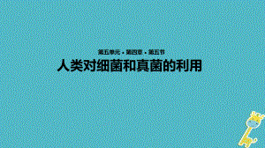 【人教版】2017年秋八年级生物上册545《人类对细菌和真菌的利用》教学课件.ppt