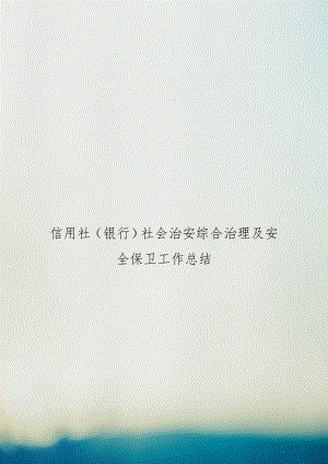 信用社（银行社会治安综合治理及安全保卫工作总结.doc