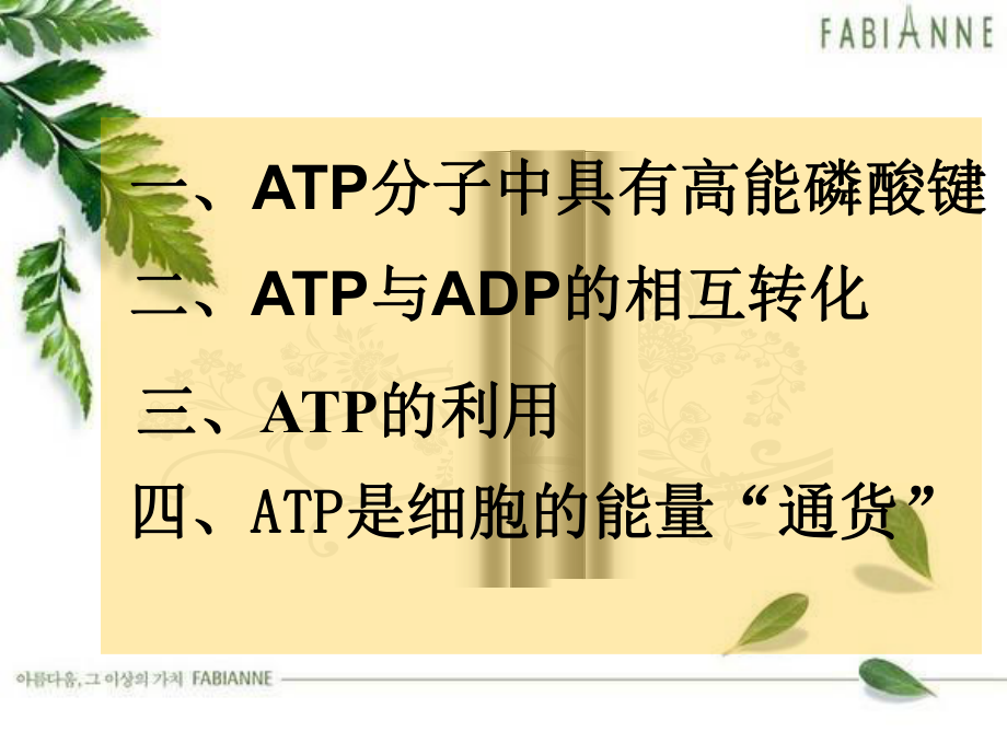 52细胞的能量通货--ATP.ppt_第2页