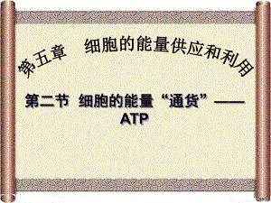 52细胞的能量通货--ATP.ppt