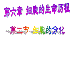 第二节细胞的分化（改）.ppt