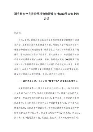 副县长在全县投资环境整治暨暖商行动动员大会上的讲话.docx