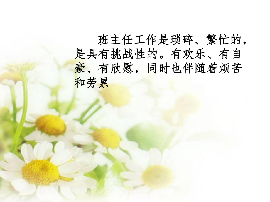 优秀班主任发言稿.ppt_第2页