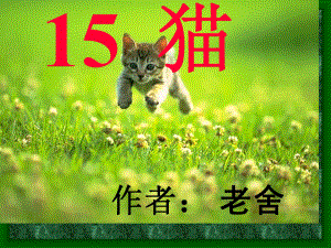 人教版四年级上册《猫》.ppt