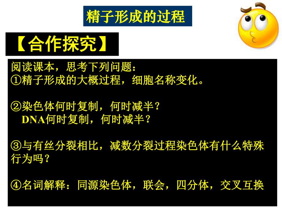 减数分裂-精子的形成.ppt_第2页