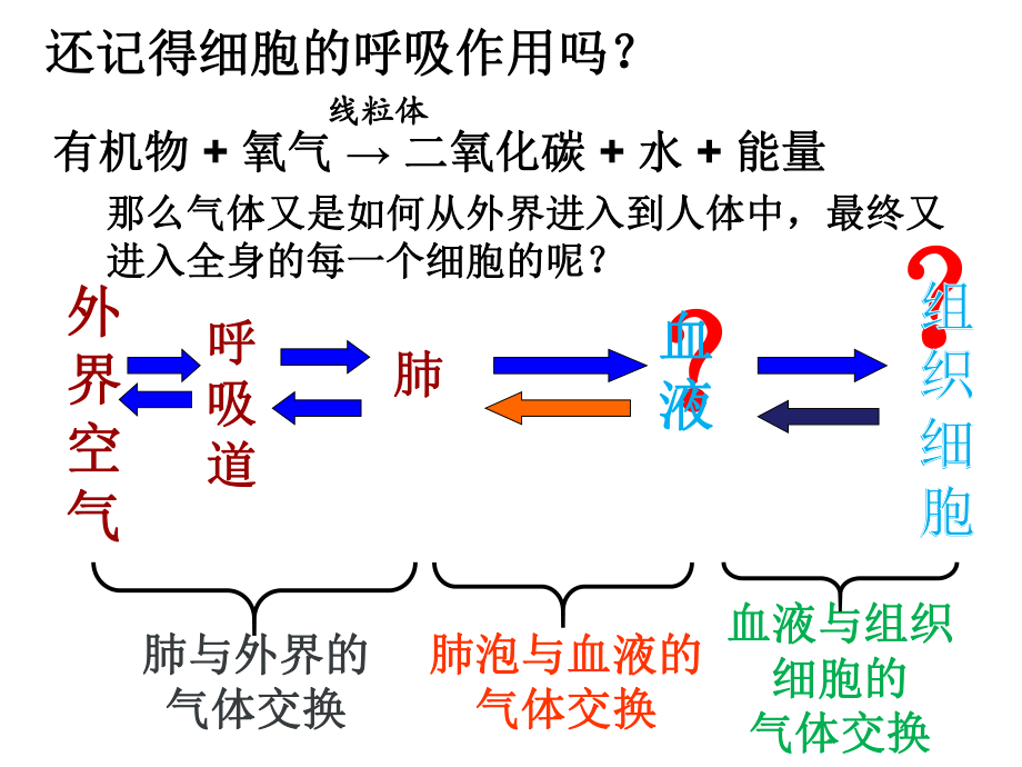 第二节-发生在肺内的气体交换课件.ppt_第2页