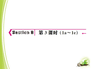 SectionB第3课时.ppt