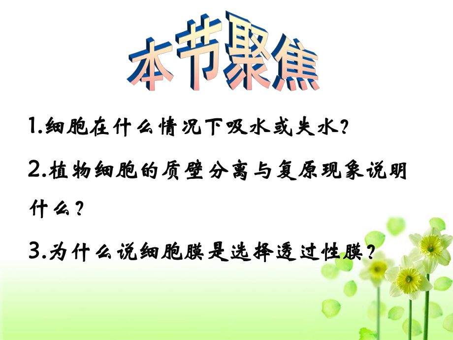 《物质跨膜运输的实例》教学课件.ppt_第2页