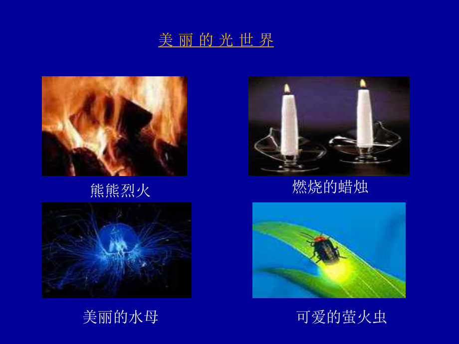 41《光的反射》第一课件课时1(2).ppt_第2页