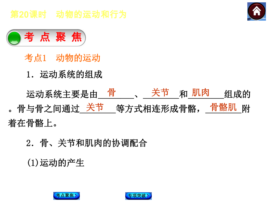 2015生物中考总复习课件（考点聚焦+归类探究+回归教材）：第20课时　动物的运动和行为.ppt_第2页