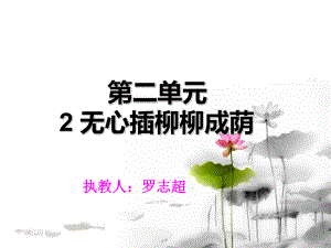 《无心插柳柳成荫》件.ppt