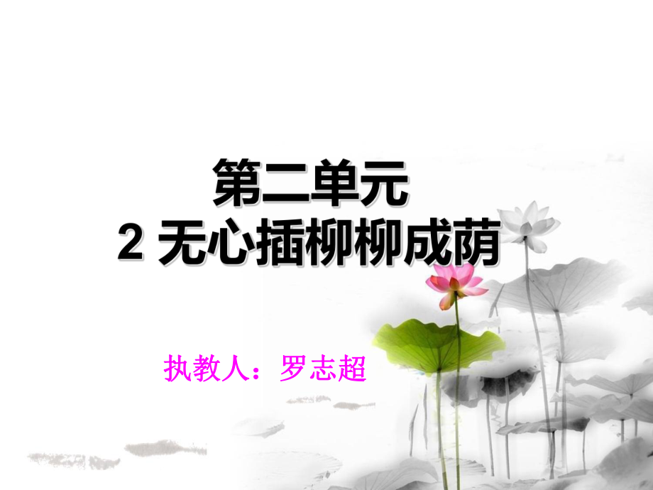 《无心插柳柳成荫》件.ppt_第1页