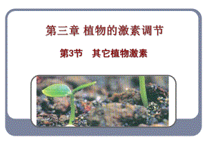 其他植物激素(公开课).ppt