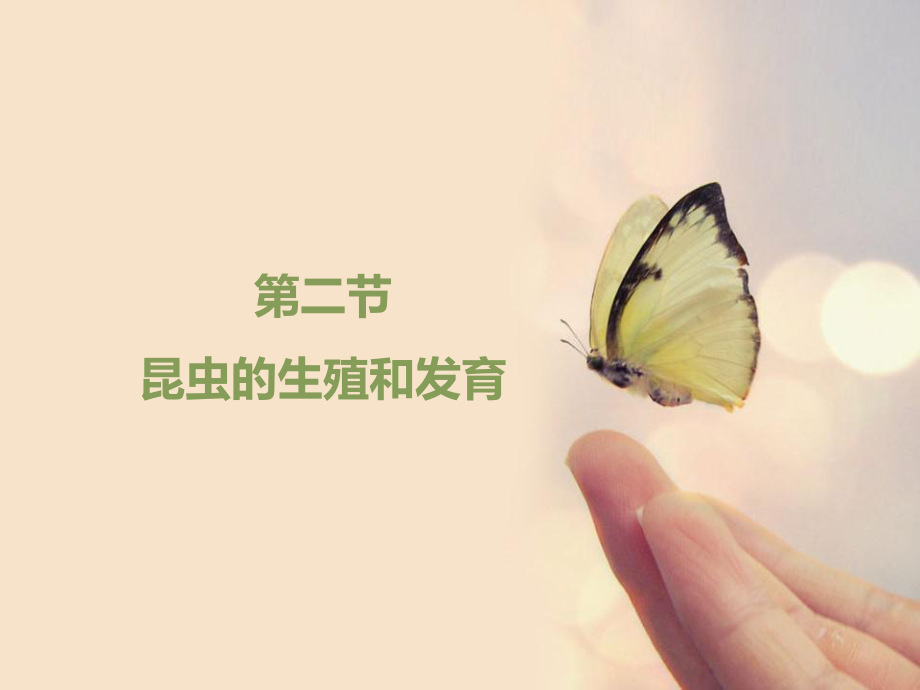 人教版生物八年级下册712《昆虫的生殖和发育》课件（共25张PPT）.ppt_第1页