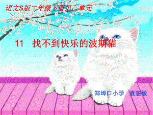 找不到快乐的波斯猫课件.ppt