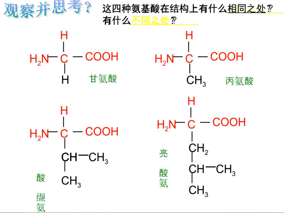 微课氨基酸的通式.ppt_第2页