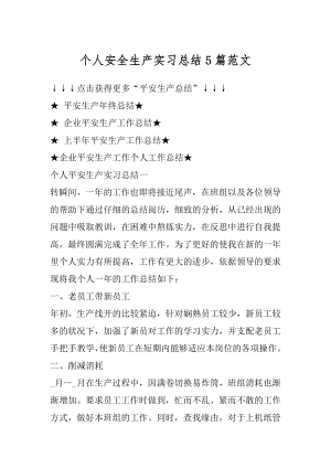 个人安全生产实习总结5篇范文精选.docx