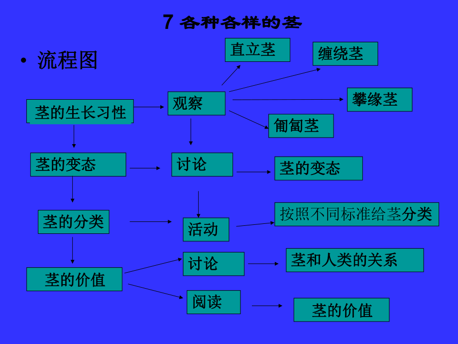 各种各样的茎教材介绍.ppt_第2页