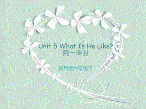 六年级下unit5第一课时Whatishelike？(1).pptx