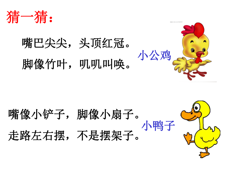 小公鸡和小鸭子公开课优秀PPT课件.ppt_第1页