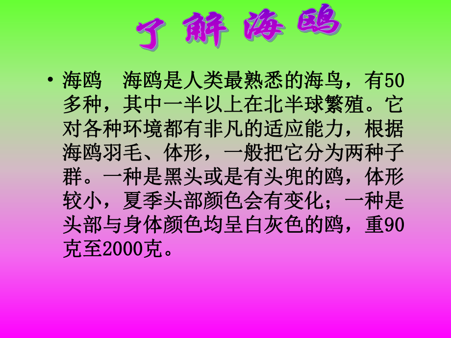 老人与海鸥课件1_(2).ppt_第2页