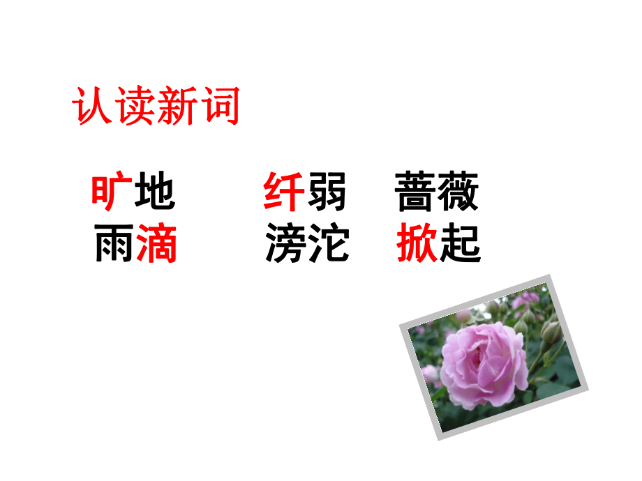 新我不是最弱小的.ppt_第2页