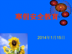 2012寒假安全教育.ppt