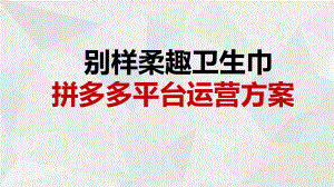 拼多多运营方案ppt课件.ppt