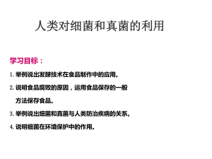 八年级生物上册545人类对细菌和真菌的利用课件2（新版）新人教版.ppt