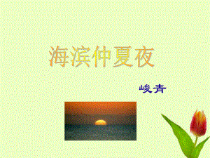 五年级语文下册《海滨仲夏夜》课件.ppt