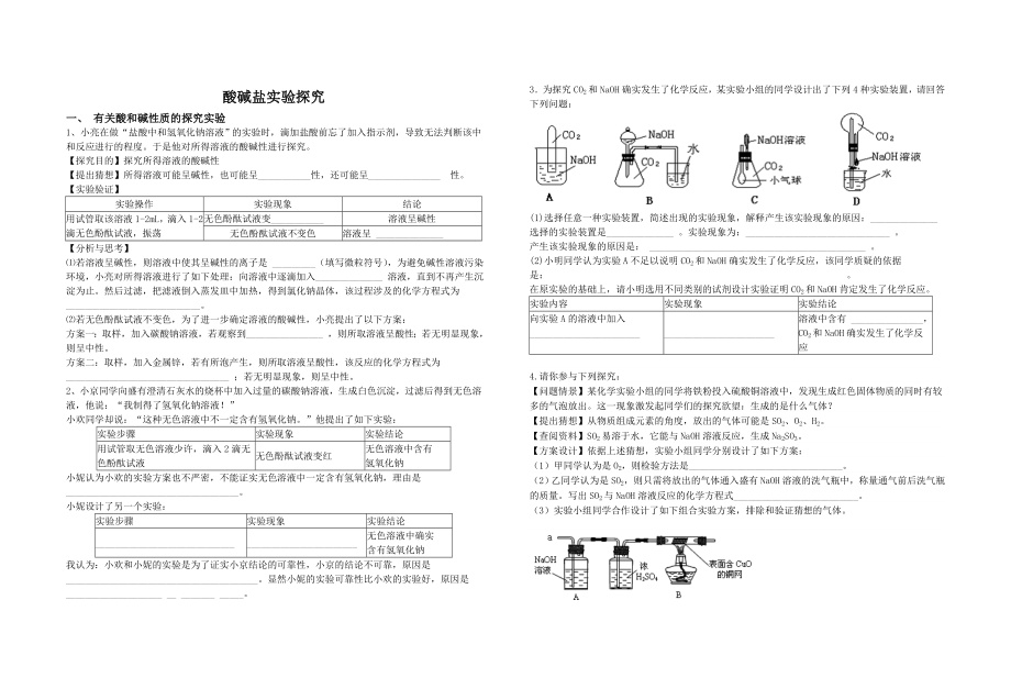 酸碱盐实验探究.doc_第1页